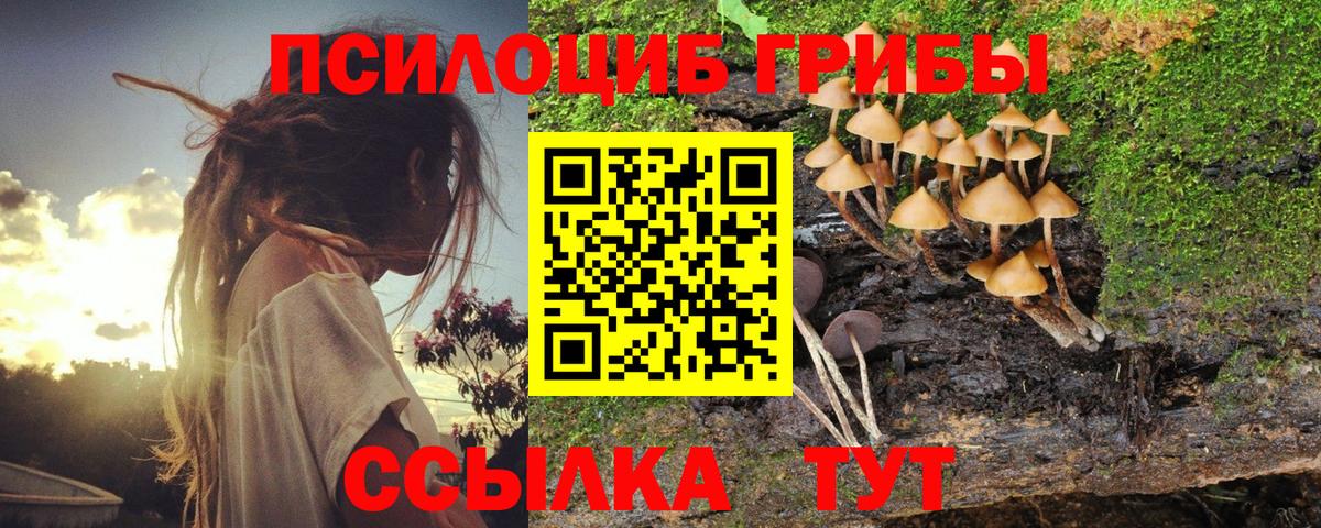 где купить наркоту  Псилоцибиновые грибы прущие грибы  Галлюциногенные грибы Magic Shrooms  Вход с VPN  Шадринск 