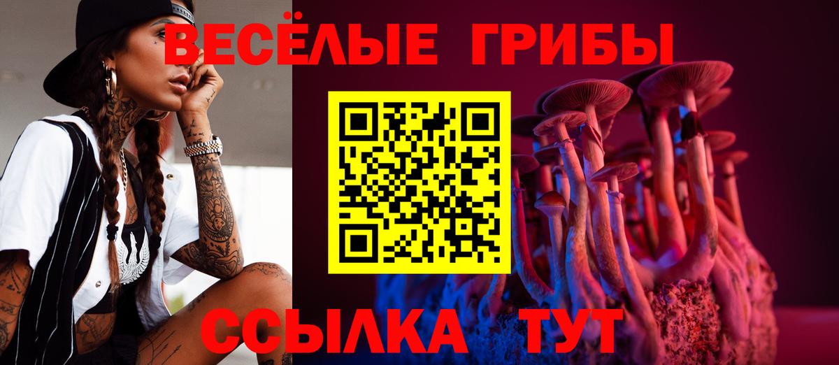 Псилоцибиновые грибы мицелий Шадринск
